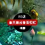 包含窗口期全明星赛传出新动向，纽卡斯尔更衣室发声，管理层表态——质疑声仍在，纪律约束更严格的词条