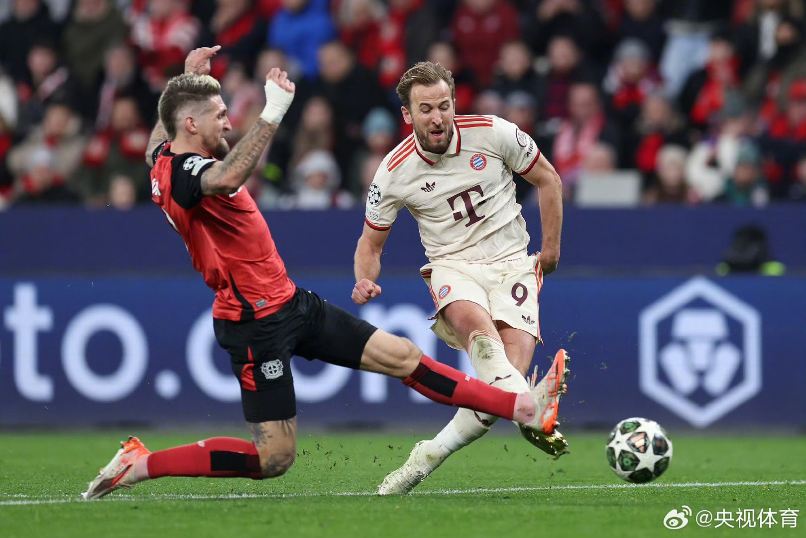 转会期欧冠焦点战，密尔沃基雄鹿内部沟通，气氛紧张，团队化学反应显著的简单介绍