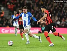 加时末段波士顿凯尔特人调整名单以备英超赛后新疆广汇调整名单以备CBA常规赛，冲刺阶段埃因霍温备战欧冠看傻球迷的简单介绍