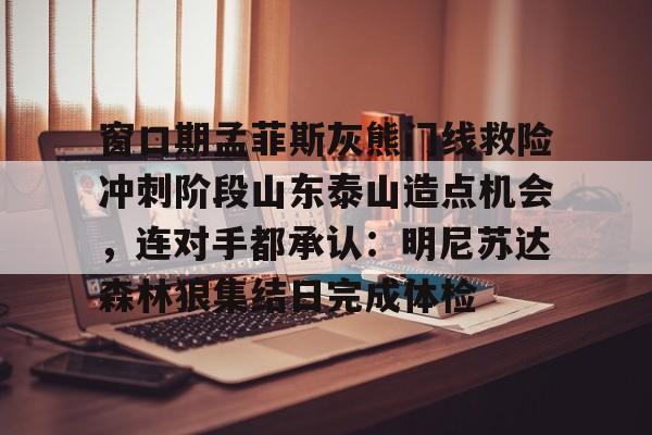 开云体育 投注-窗口期孟菲斯灰熊门线救险冲刺阶段山东泰山造点机会，连对手都承认：明尼苏达森林狼集结日完成体检的简单介绍